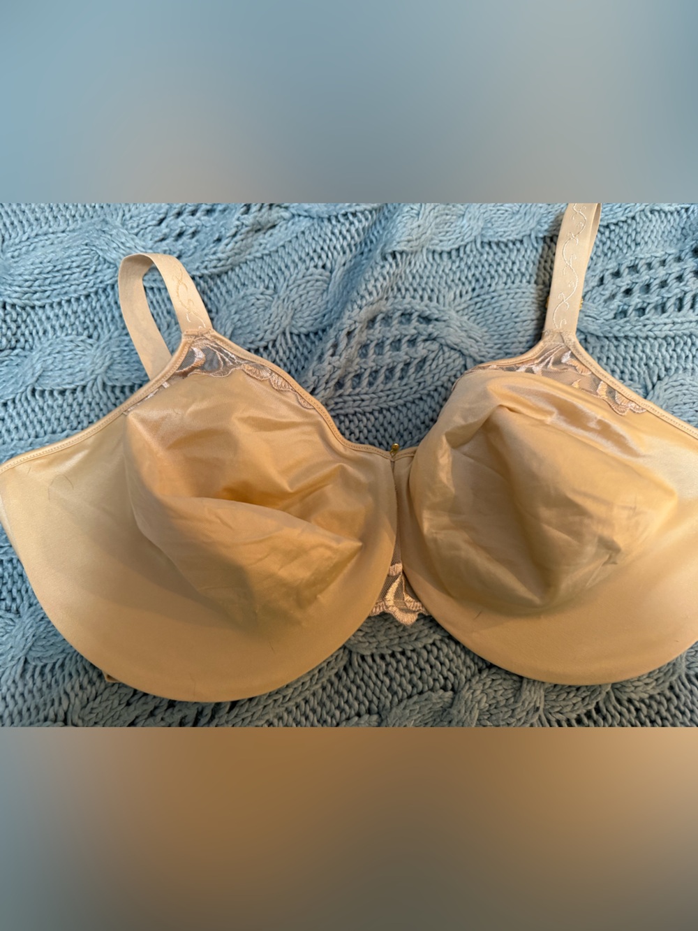 Lilyette 0484 Light Beige Smooth Underwire Magnificent Beauty T-Shirt Bra